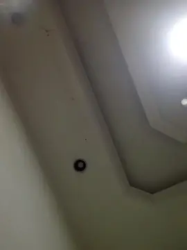 Cam4 Free Live Porn of luder39