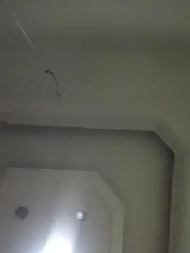 Cam4 Best live sex cam show of luder39