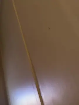 Cam4 Adult Webcams of potrillo36