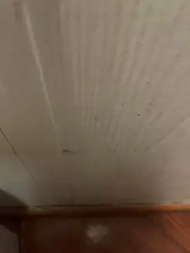 Cam4 Free Live Porn of potrillo36