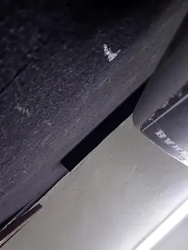 Cam4 Private Sex Chat of Elflaco007