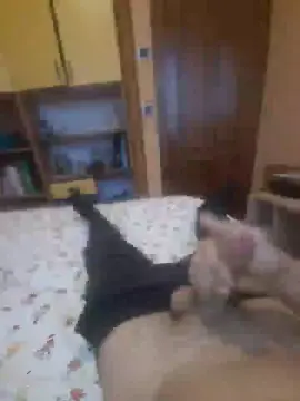 Cam4 Sex Chat of Maxsim9