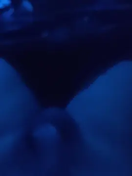 Cam4 Private Sex Chat of Ivan69xxxa