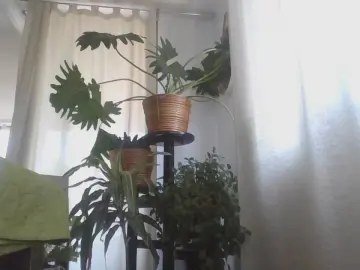 Cam4 Sex Cam of YoDavidVR