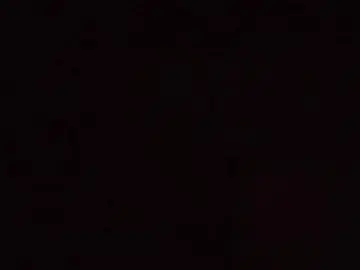 Cam4 Adult Video Chat of AVANTICHAT