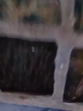 Cam4 Sex Cam of Charletta30