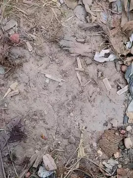 Cam4 Live Sex Cam of Topo_Hot1