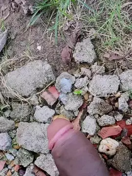 Cam4 Best live sex cam show of Topo_Hot1