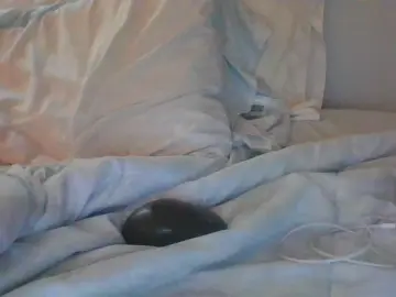 Cam4 Best Webcam of biggiestick