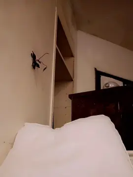 Cam4 Best Webcam of TouchMe35