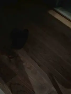 Cam4 Adult Video Chat of eisblau1