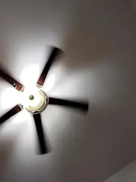 Cam4 Sex Chat of camelhito007