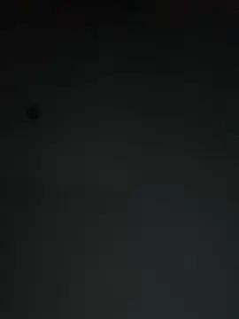 Cam4 Free Live Porn of SognamiSempre