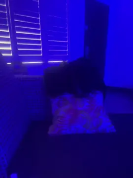 Cam4 Adult Video Chat of Xo_BabyyGirl_oX