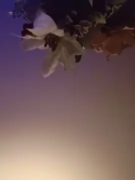 Cam4 Live Sex Cam of bigjer6