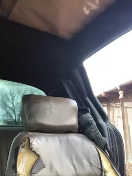 Cam4 Adult Webcams of Countryjoe2002