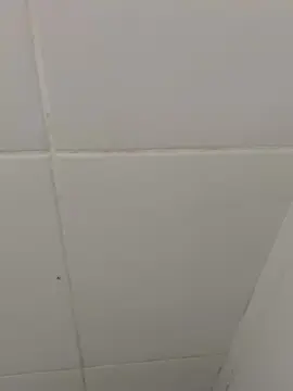 Cam4 Live Sex of Novo2001