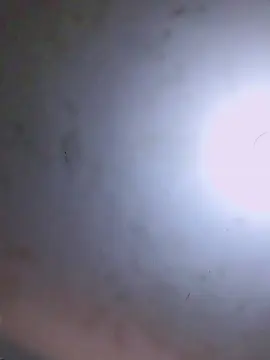 Cam4 Adult Webcams of SuelMaxCasado