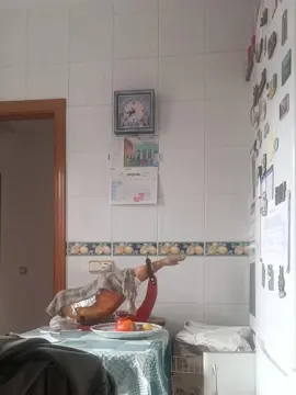 Cam4 Best Webcam of riobolos