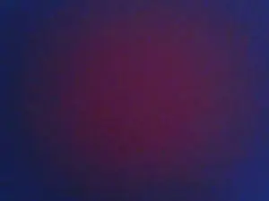 Cam4 Adult Webcams of Franck180