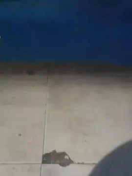 Cam4 Free Porn Cam of mimi681