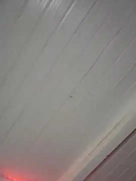 Cam4 Live Sex Cam of Babyhot669