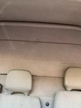 Cam4 Best live sex cam show of Bistrobest