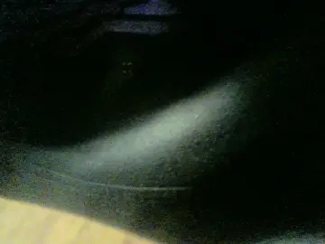 Cam4 Free Porn Cam of robyk9