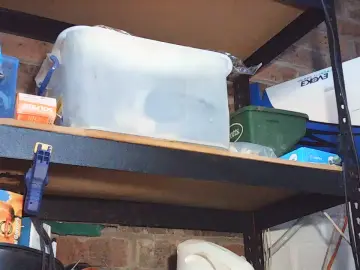 Cam4 Best Webcam of saggyblack