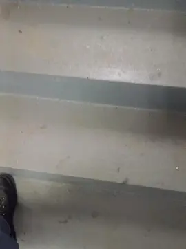 Cam4 Private Sex Chat of aera3