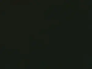 Cam4 Live Porn of SamuelTal