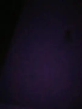 Cam4 Free Live Porn of tedy2022