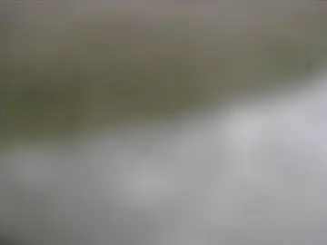 Cam4 Adult Webcams of tinydick1971