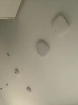 Cam4 Free Porn Cam of Bennyajay