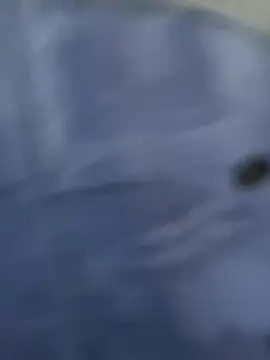 Cam4 Adult Webcam of Kima31