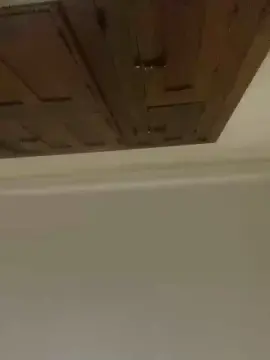 Cam4 Free Porn Cam of ryan2028