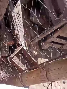 Cam4 Adult Video Chat of Vickylopez21