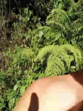 Cam4 Adult Video Chat of Dotgostoso