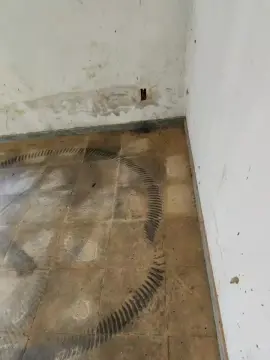 Cam4 Best Webcam of PauzudaoMG