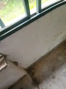 Cam4 Nude Webcam of PauzudaoMG