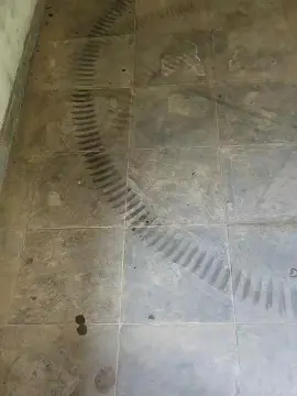 Cam4 Free Live Porn of PauzudaoMG