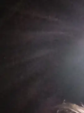 Cam4 Best Webcam of Traw87