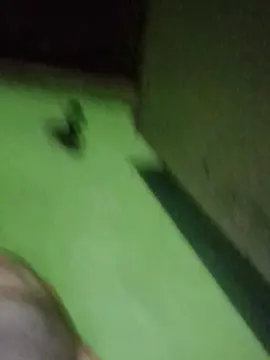 Cam4 Free Porn Cam of Aguuus22