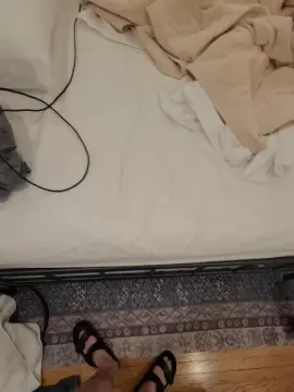 Cam4 Sex Cam of BeardedDoDoBird