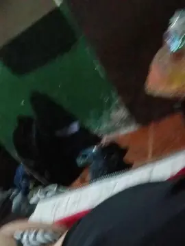 Cam4 Live Sex Cam of Lallanapriscila