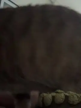 Cam4 Free Live Porn of EXHETERO25