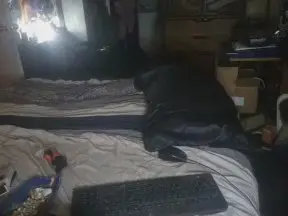 Cam4 Adult Video Chat of ghettogurlts