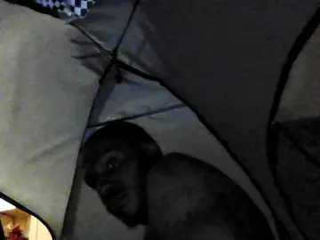 Cam4 Live Sex of Bayarea8inch