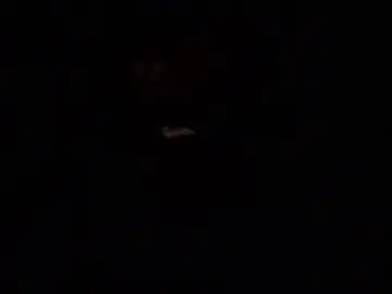 Cam4 Sex Chat of Hanroll