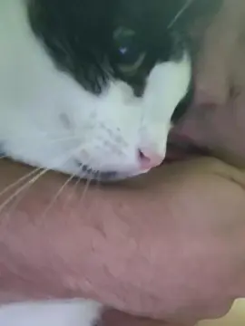 Cam4 Private Sex Chat of Omiranhaaaa